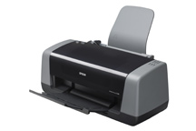 Blkpatroner Epson Stylus C 48 printer